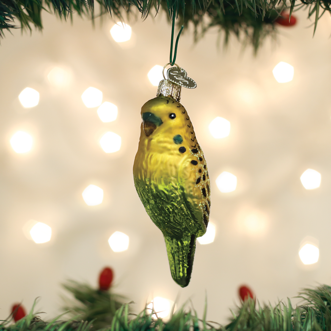 TheHolidayBarn.com Peter The Parakeet Ornament Christmas 3 TheHolidayBarn.com Peter The Parakeet Ornament Christmas