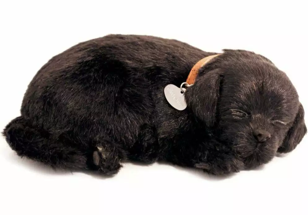 TheHolidayBarn.com Breathing Black Lab Puppy New! 3 TheHolidayBarn.com Breathing Black Lab Puppy New!