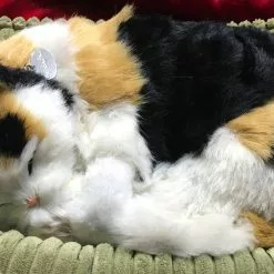 TheHolidayBarn.com Breathing Calico Kitten New!