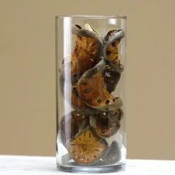 TheHolidayBarn.com Dried Quince Slices Vase Filler