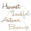 Bethany Lowe Cursive Fall Word Ornaments