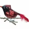 Old German Christmas Fat Cardinal Glass Clip-On Ornament With Feathers