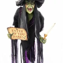 Katherine's Collection Haunted Witch Wall Piece New!