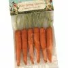 Bethany Lowe New! Mini Carrot Ornaments