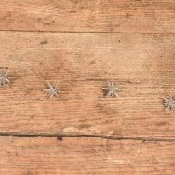 Ragon House Moravian Star Garland, Champagne Glittered New!