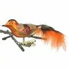 Old German Christmas Orange & Brown Bird With Feathers Ornament Clip