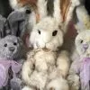New! Charlie Bears Parsley Rabbit