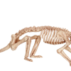 Seasons USA Rat Skeleton