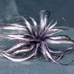 TheHolidayBarn.com Wicked Witch Purple Tillandsia Stem Halloween